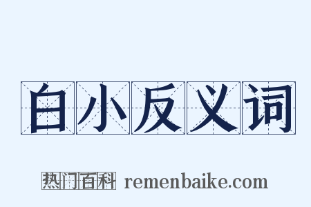 白小反义词是什么意思的图片